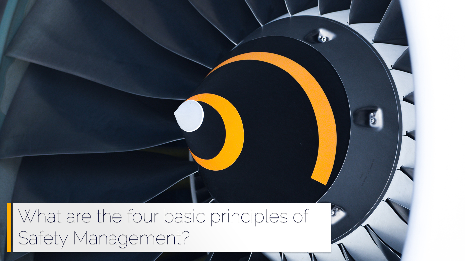 What are the four basic principles of safety management