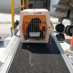 Live Animals Regulations for Loading Personnel